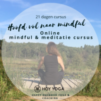 21 dagen online cursus: Hoofd vol naar mindful